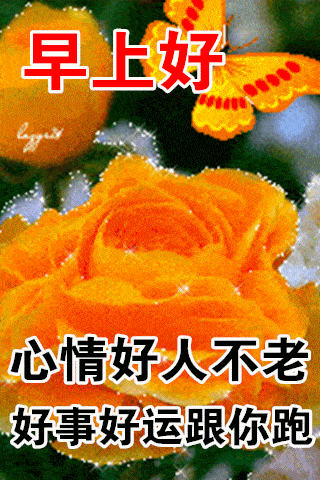 问候不怕遥远、每天送上祝愿和问候，让我们都健康平安！
