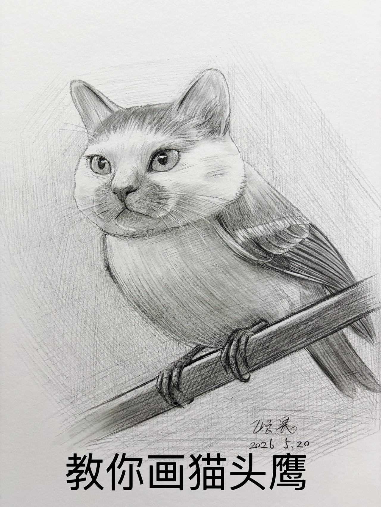 你学会了吗？美术学习干货  零基础学画画 素描入门教学 绘画步骤分解
