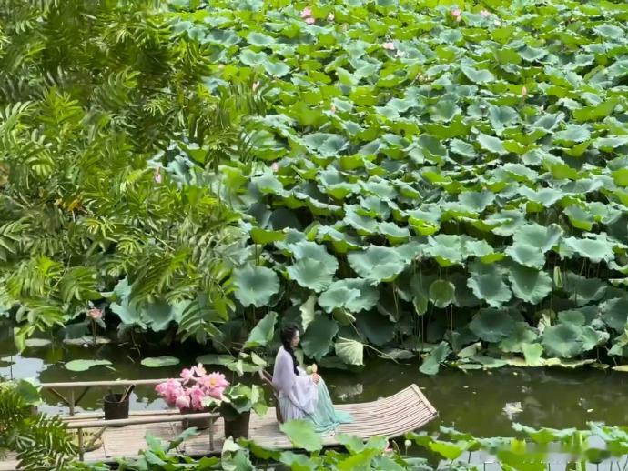 一念江南完全江南宣传片一念江南实景拍摄好美不用特效实景呈现，一念江南演绎梦中江南