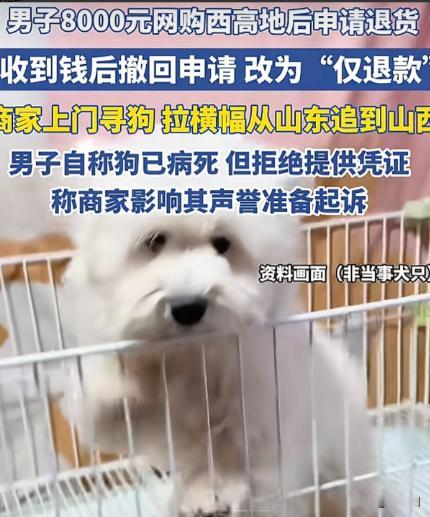 女子卖了一只8000元的宠物狗给一男子，6天后，对方称狗生病了，申请了退货退款。