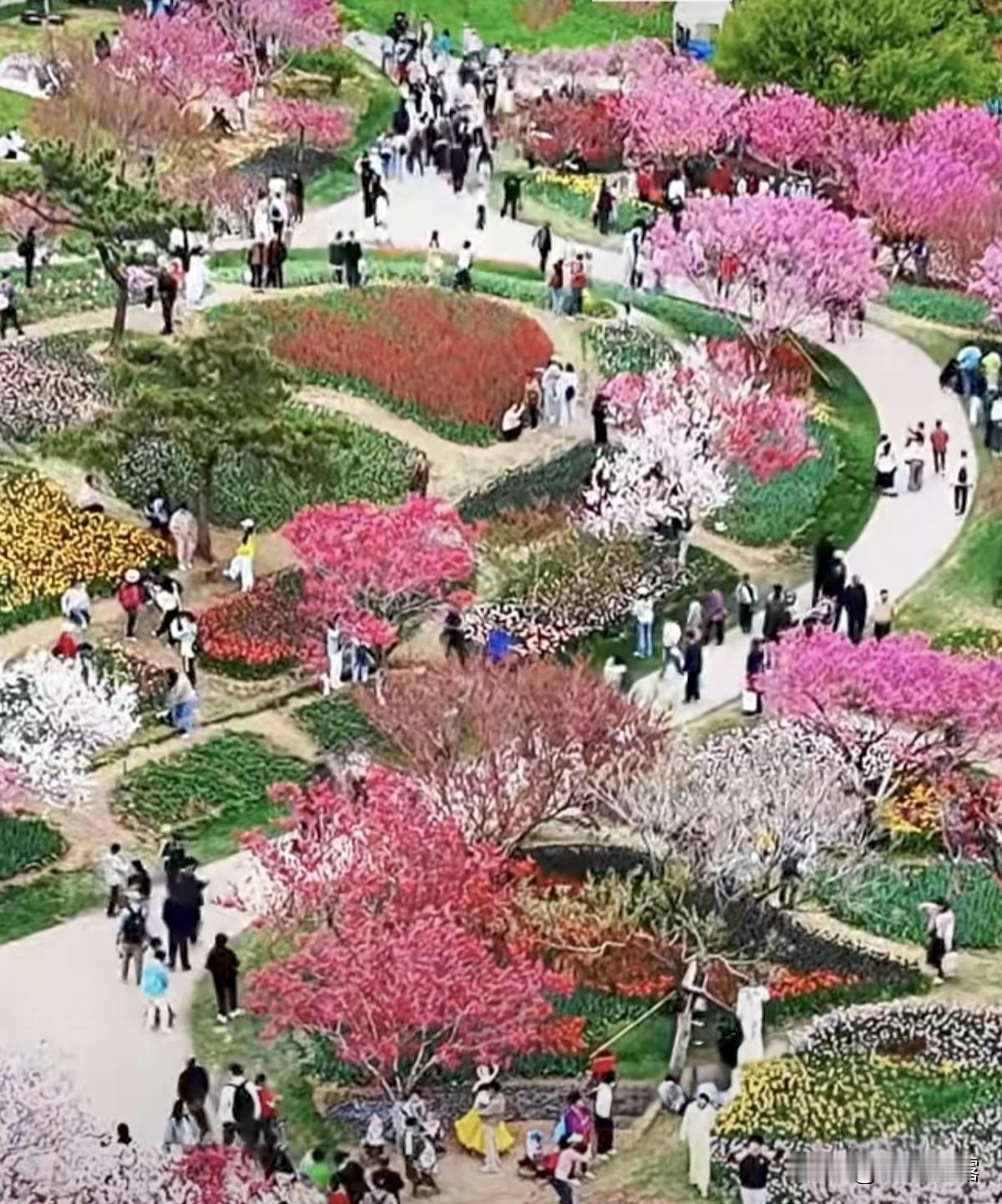 分享一组我市龙王塘植物园美图。步入园区，仿佛踏入花的海洋，所有的花卉争奇斗艳，芳