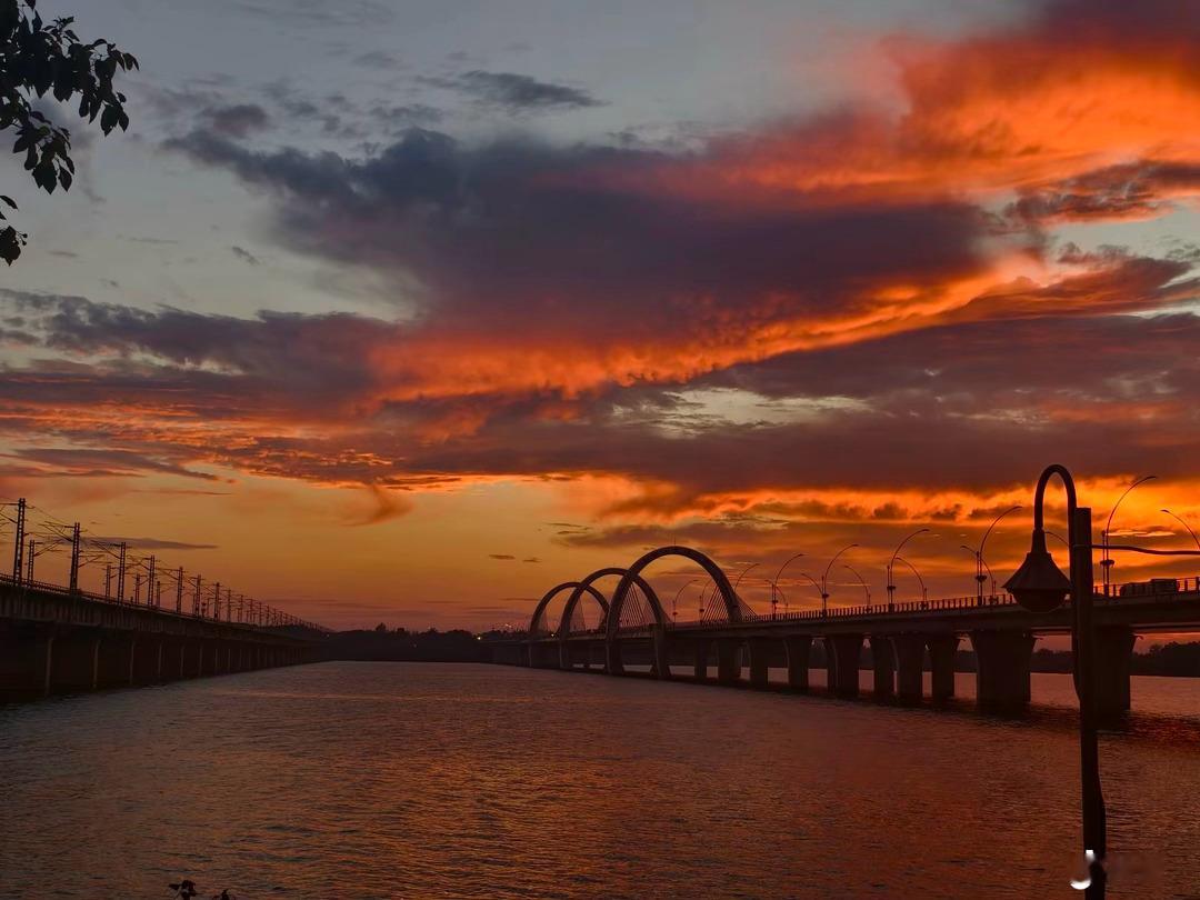 枯树总会有春日，故人难回那年冬。晚安mm💤 