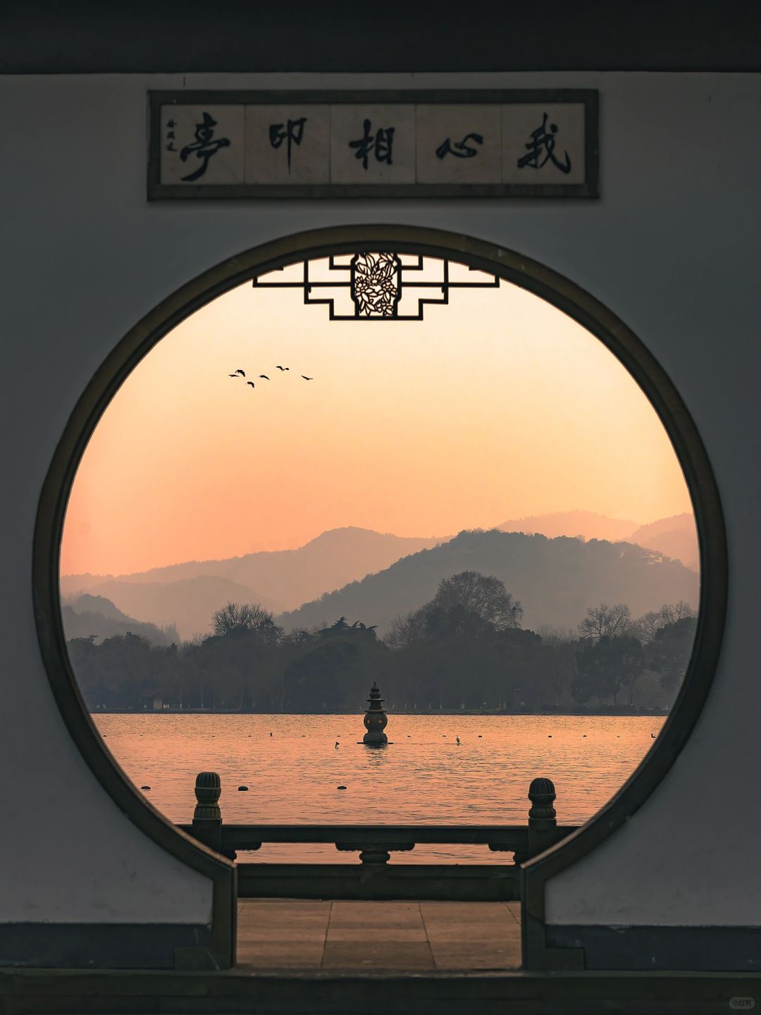 拍了6⃣️年西湖，原来这里的秋天这么美❗