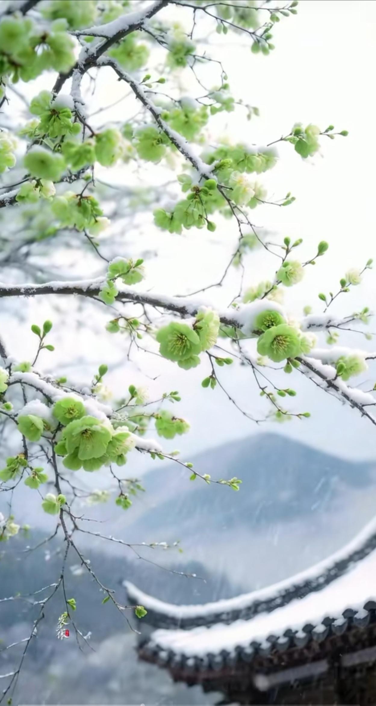 主家请客吃饭，发烟是每人一包，还是只发抽烟的人呢？昨晚，随领导参加饭局。席上6人