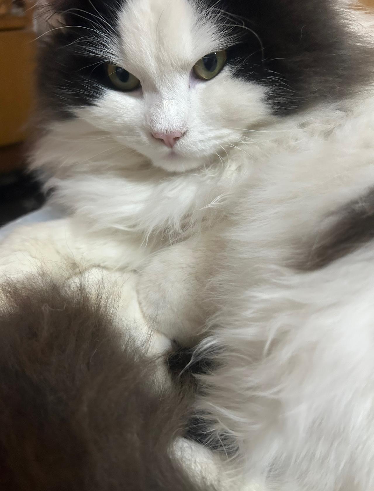 因为个人原因，
最近会减少更新。
至于什么原因，
知道的不要说出来，
不知道的也