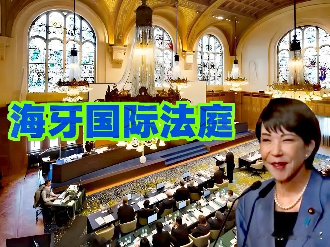 国际海牙法庭对高市早苗有可能签发国际逮捕令，理由：日本政府考虑采购的以色列“sk