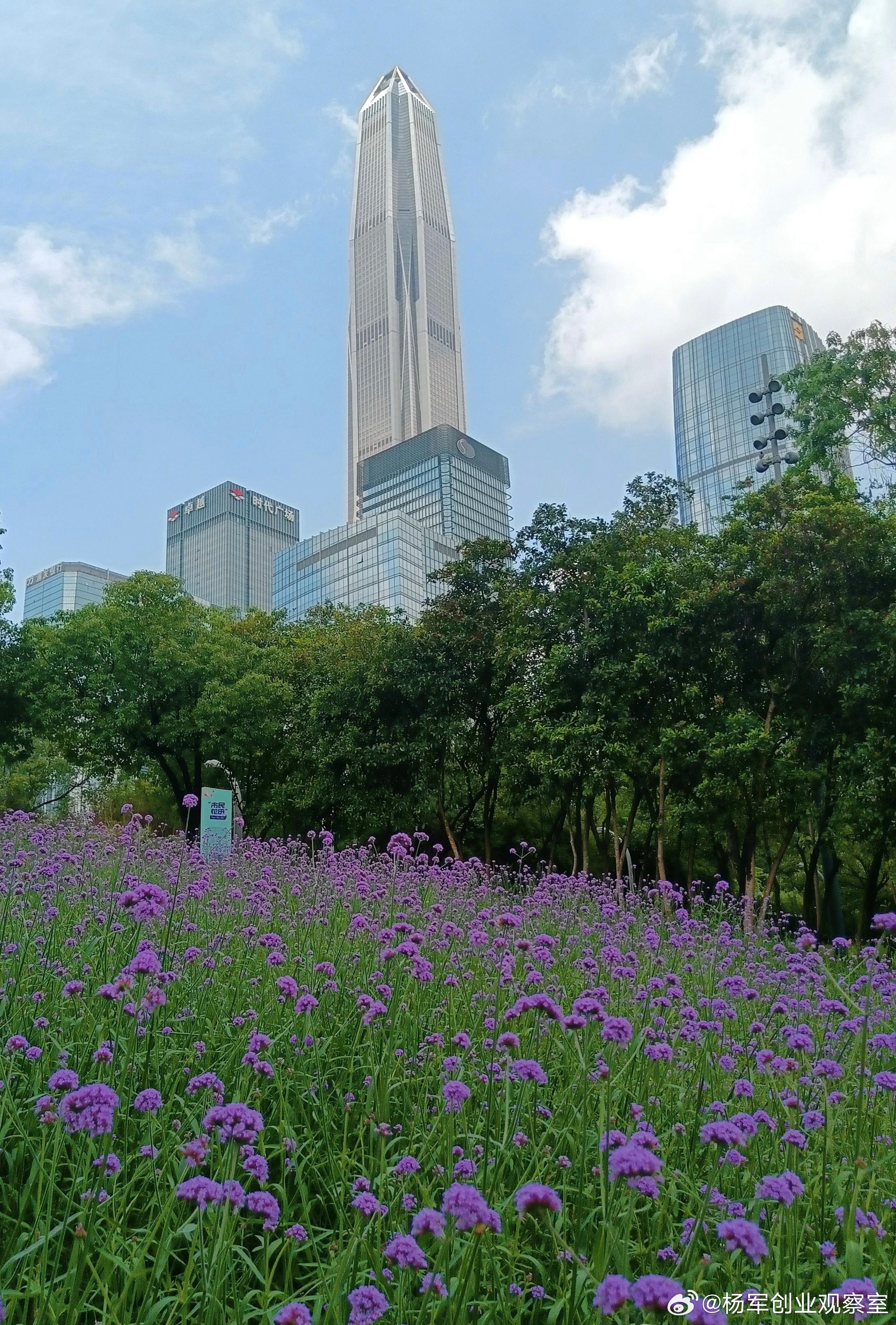 最近帮几个创业团队梳理股权，发现大家踩坑的点都差不多。很多人问：“初创公司股权怎