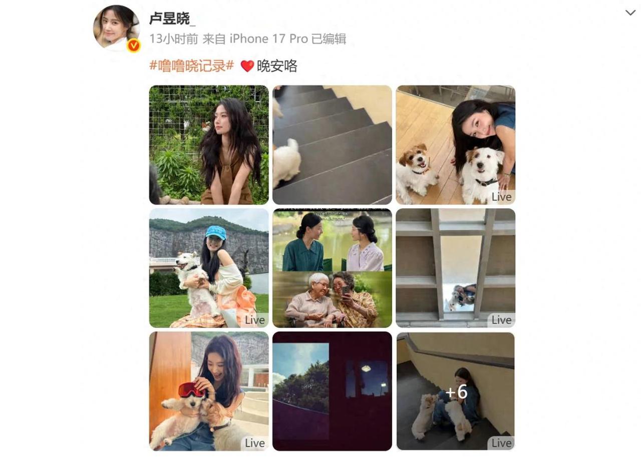 【演员屏摄道歉！影院拍银幕到底违不违法？律师说清边界】
 
大家好，我是北京安剑