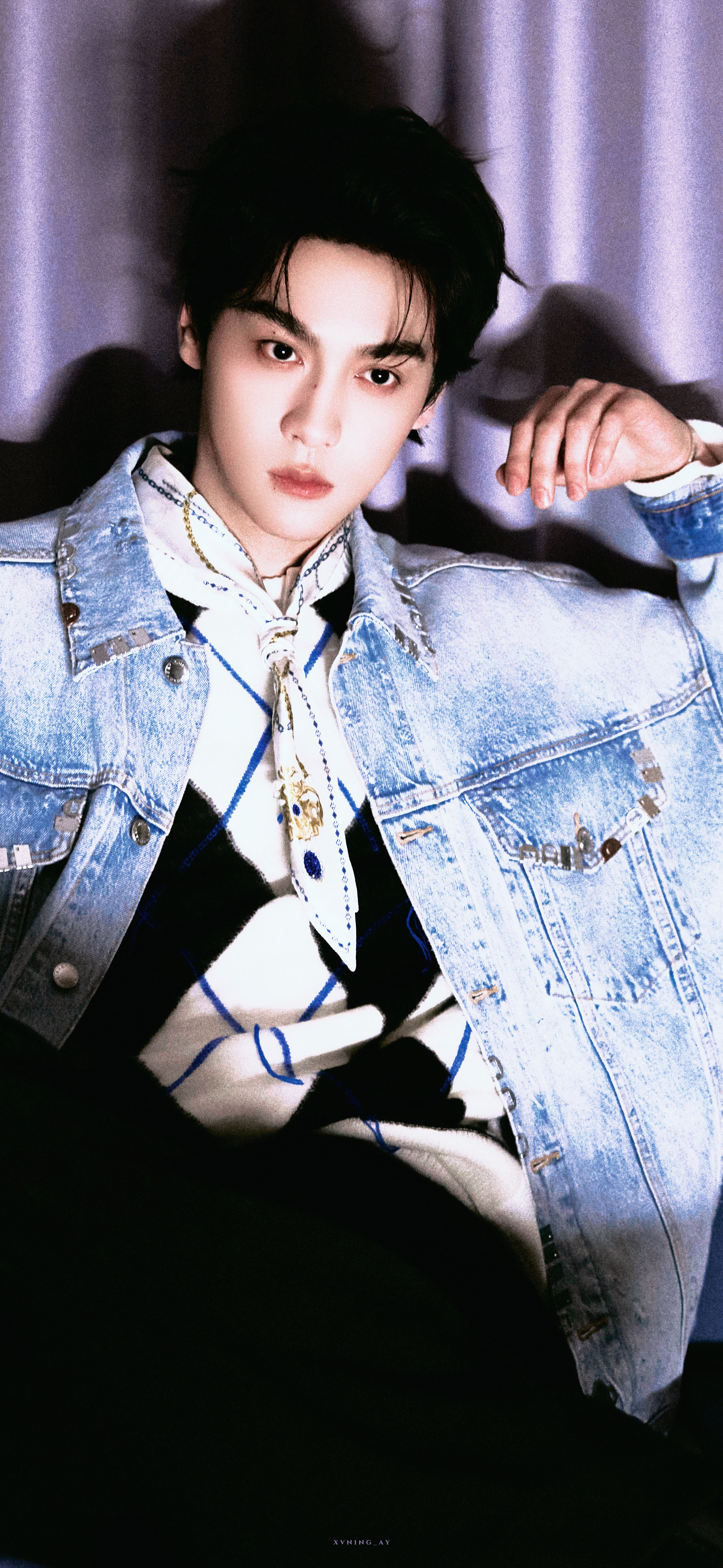 紫罗兰 花语田栩宁直播