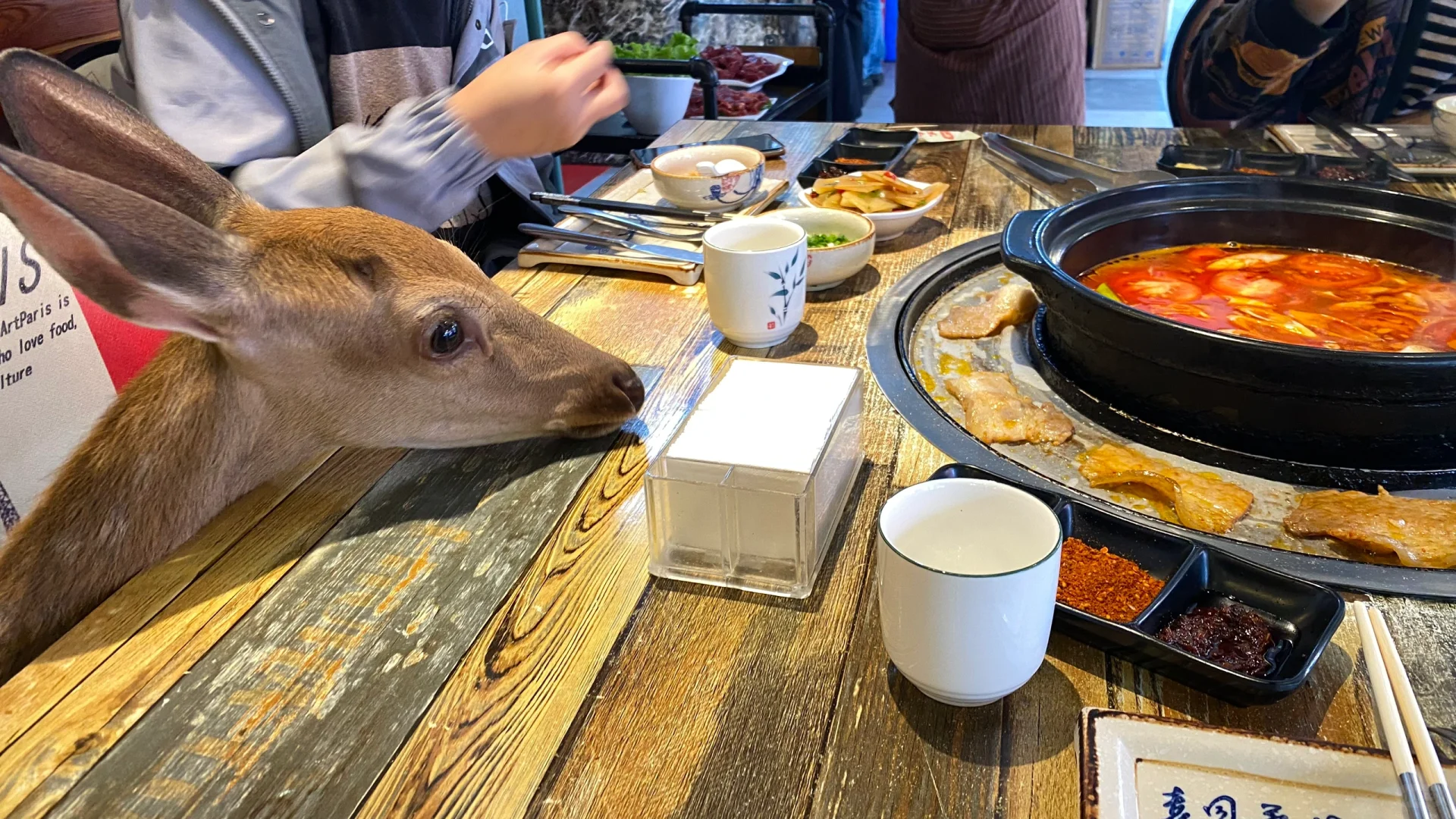 天冷了，该吃火锅了！