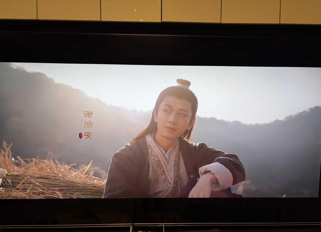 再看谢淮安
看第一集想到最后的淮安成为刘知，长安二十四计虽然才28集，但是讲了好