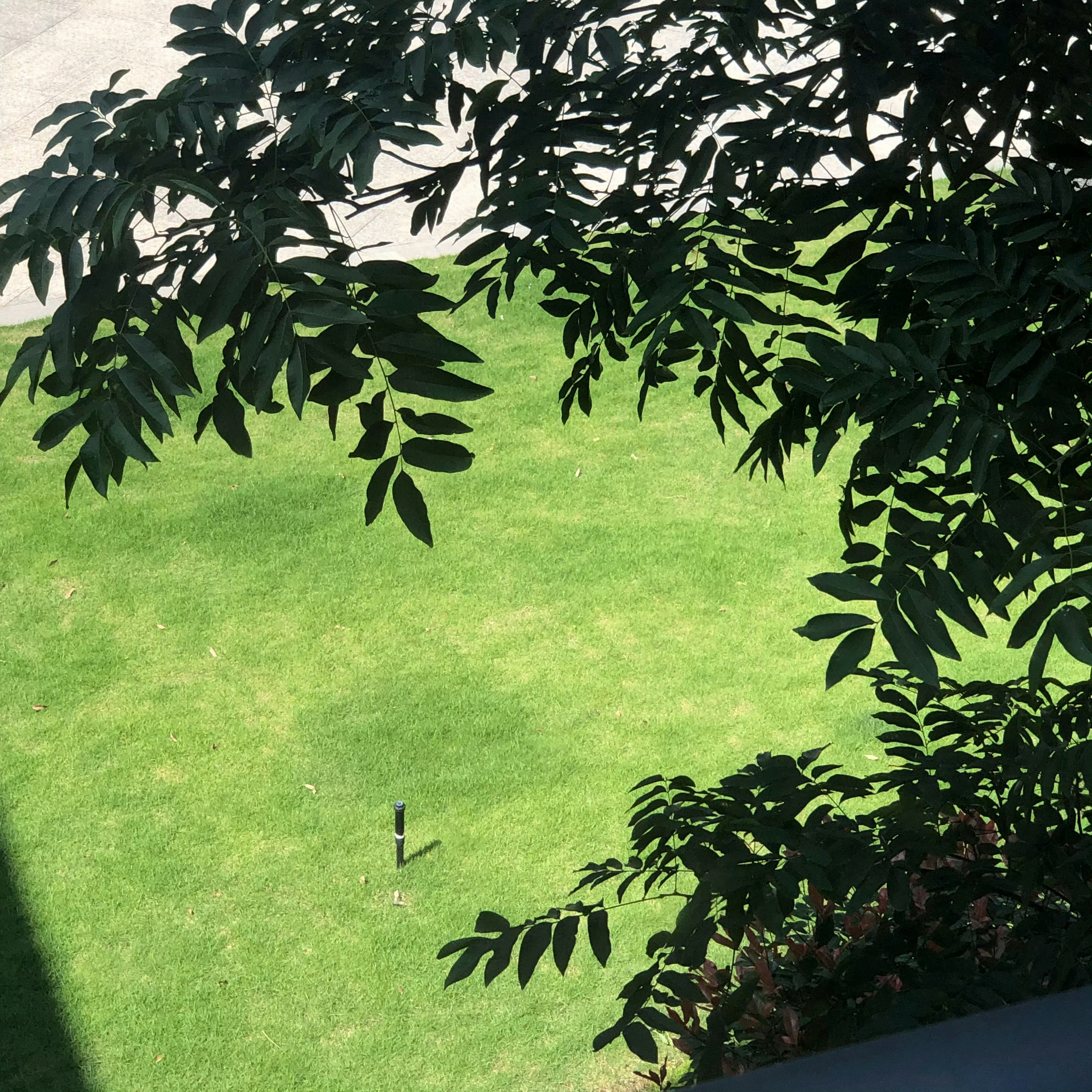 不是夏日限定 是来日方长。