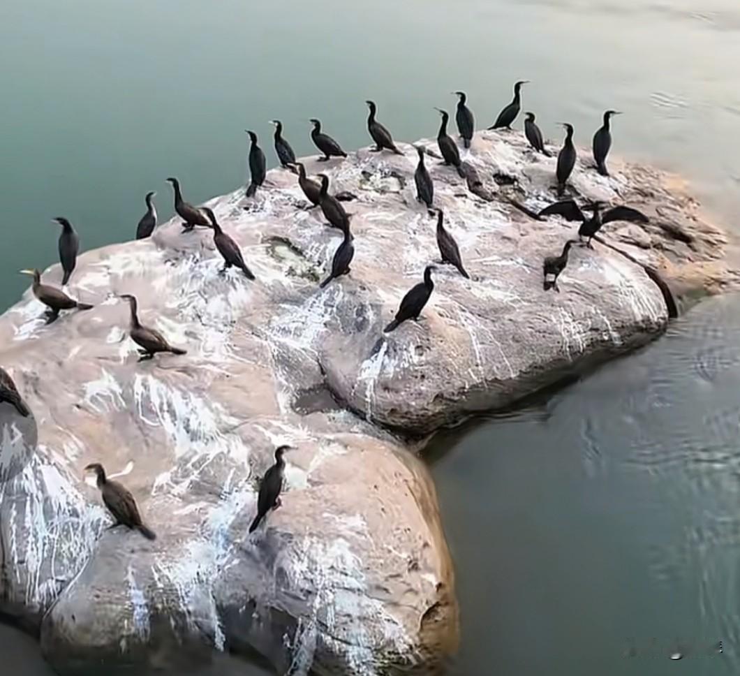 当你受过了太多委屈，熬过了所有的苦，那些回过头来想再讨好你的人，真的是越看越觉得