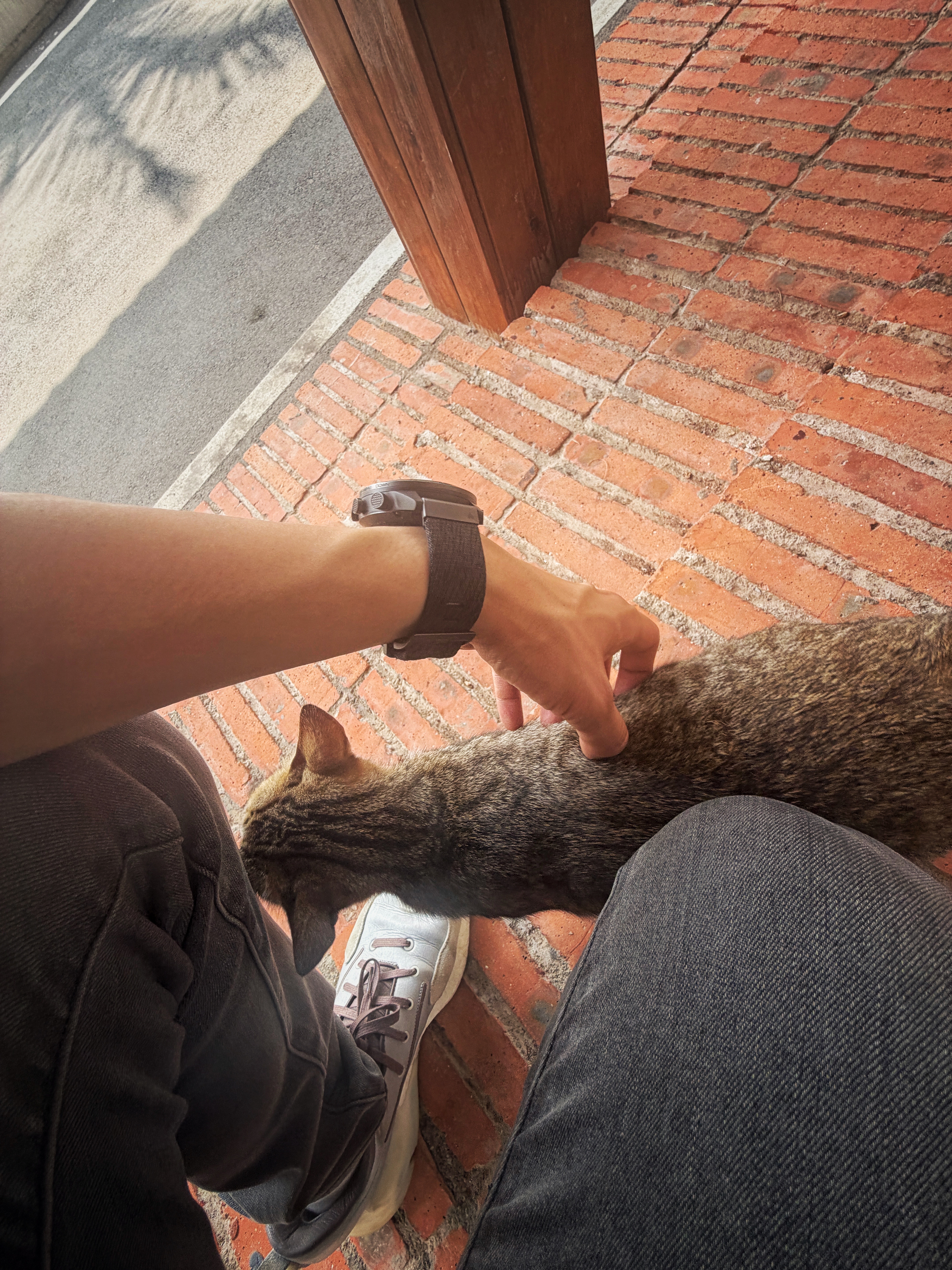 夹缝中写策划💻 欣哲频道戴尔xps14 三亚