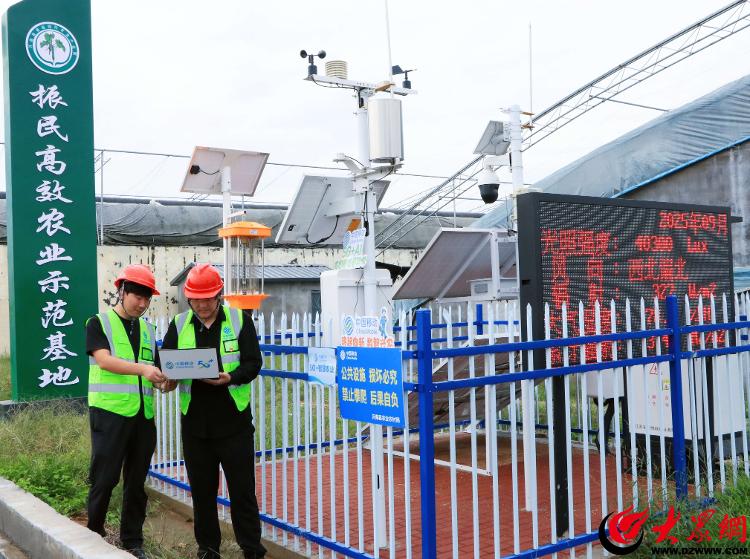 山东移动临沂分公司：5G+智慧农业 为蔬菜种植注智赋能