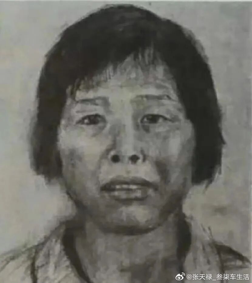 梅姨被逮捕这个人终于落网了