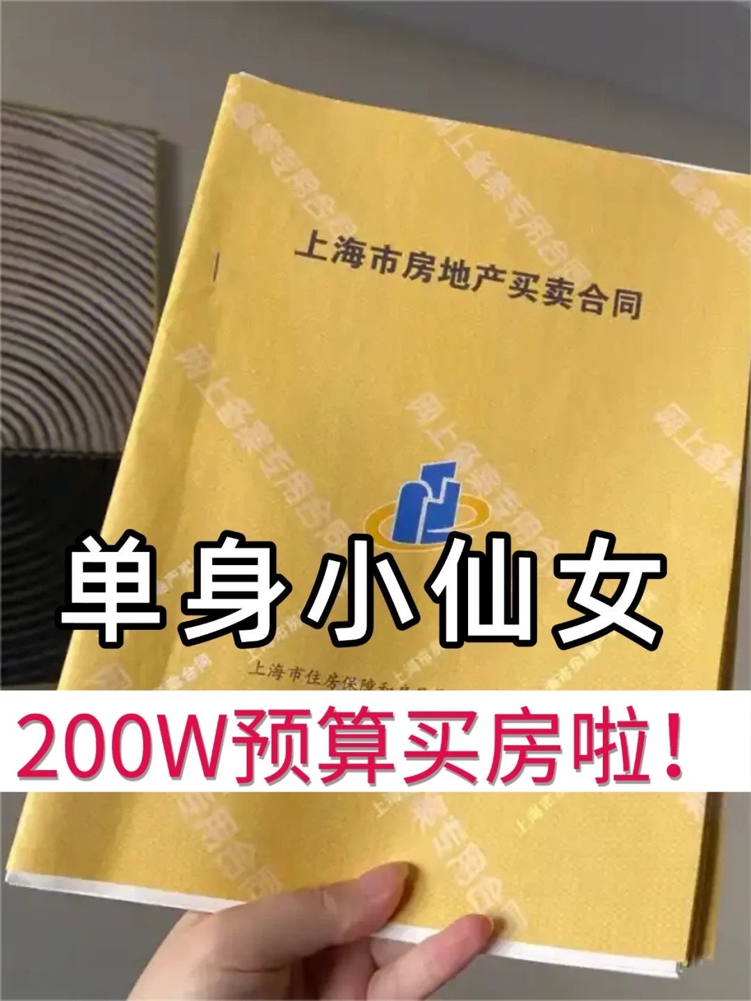 上海200w预算，什么盘兼顾学区和收益❓