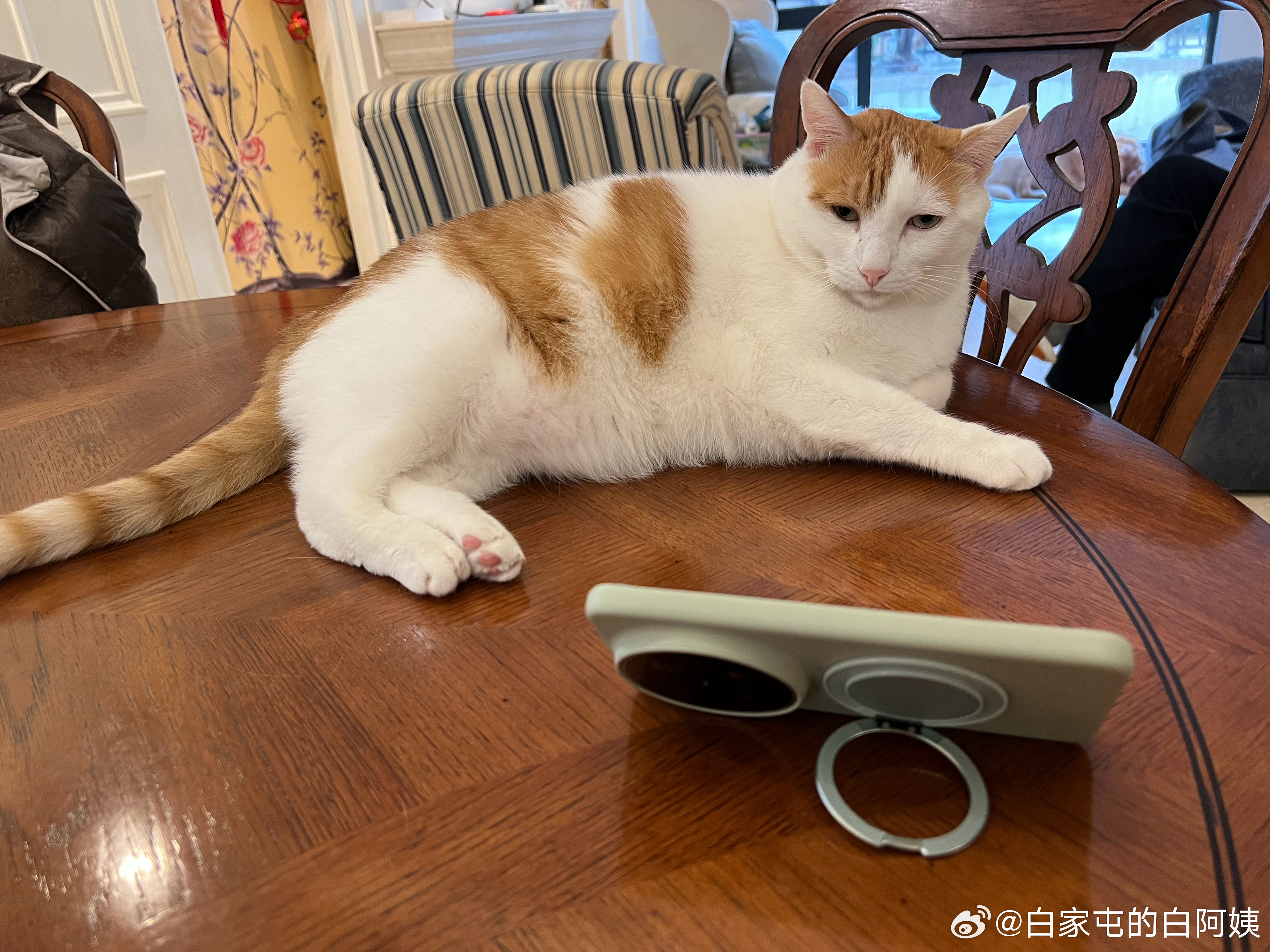 追红果是吧，天天啥都不干就知道追红果，废了你[怒骂] ​​​