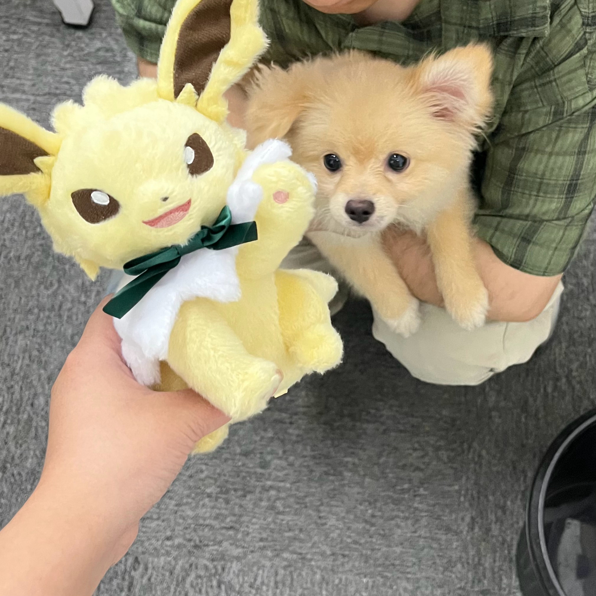 奶妈过来开下进化 ​​​