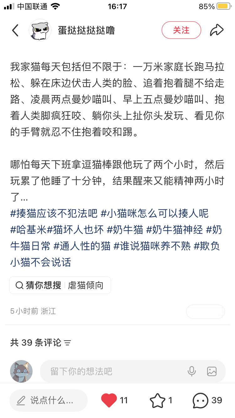 评论给我看破防了。。。原来你们家的猫都不这样啊 