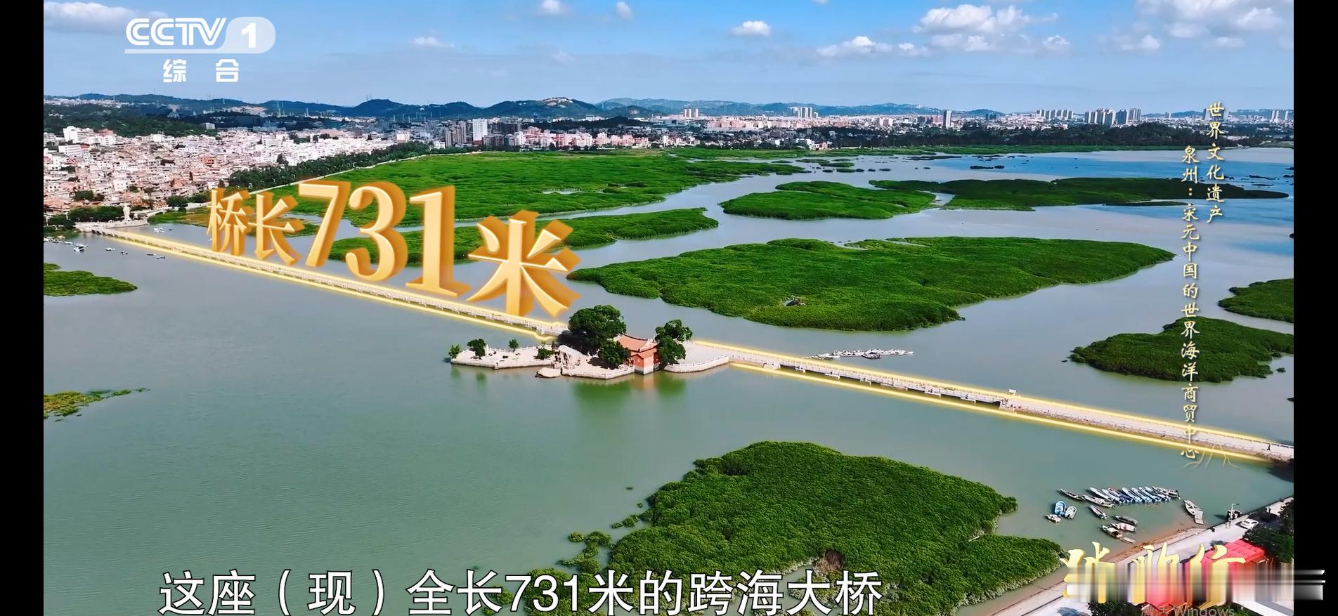 原来千年前就有如此超前的生物科技应用，泉州洛阳桥靠养殖牡蛎稳固桥基，用海洋生物的