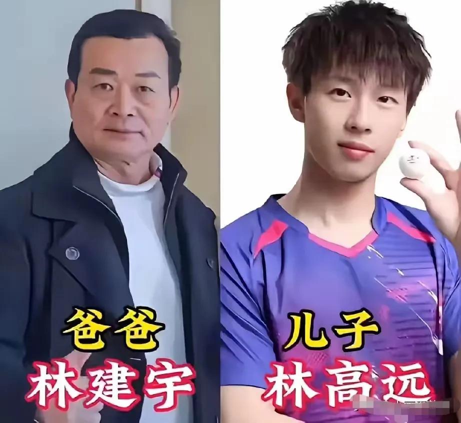 爸爸稳重大方，一直支持着儿子事业—林高远的爸爸
爸爸稳重大方，一直支持着儿子事业