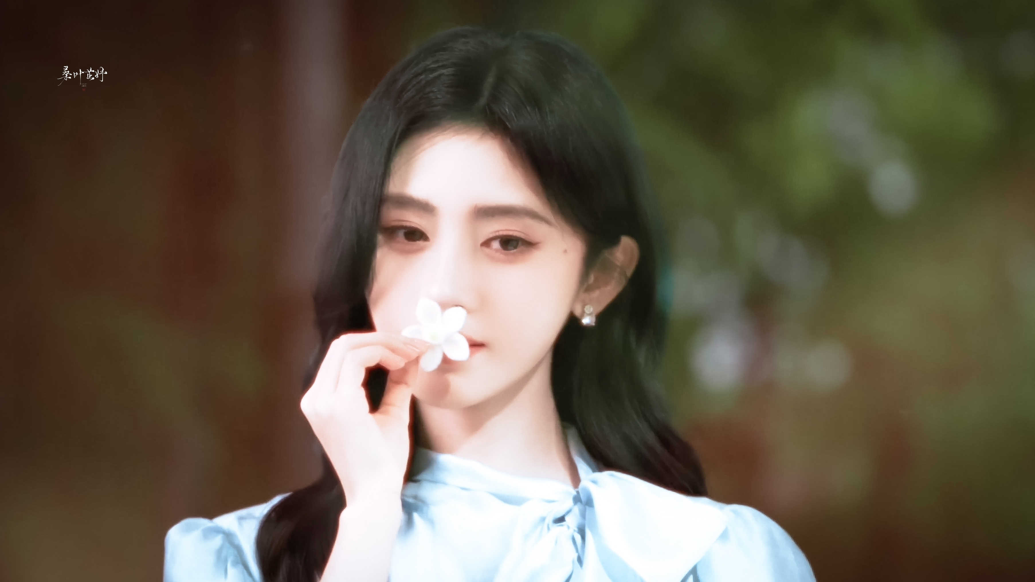 氧气·🍃🍀 
