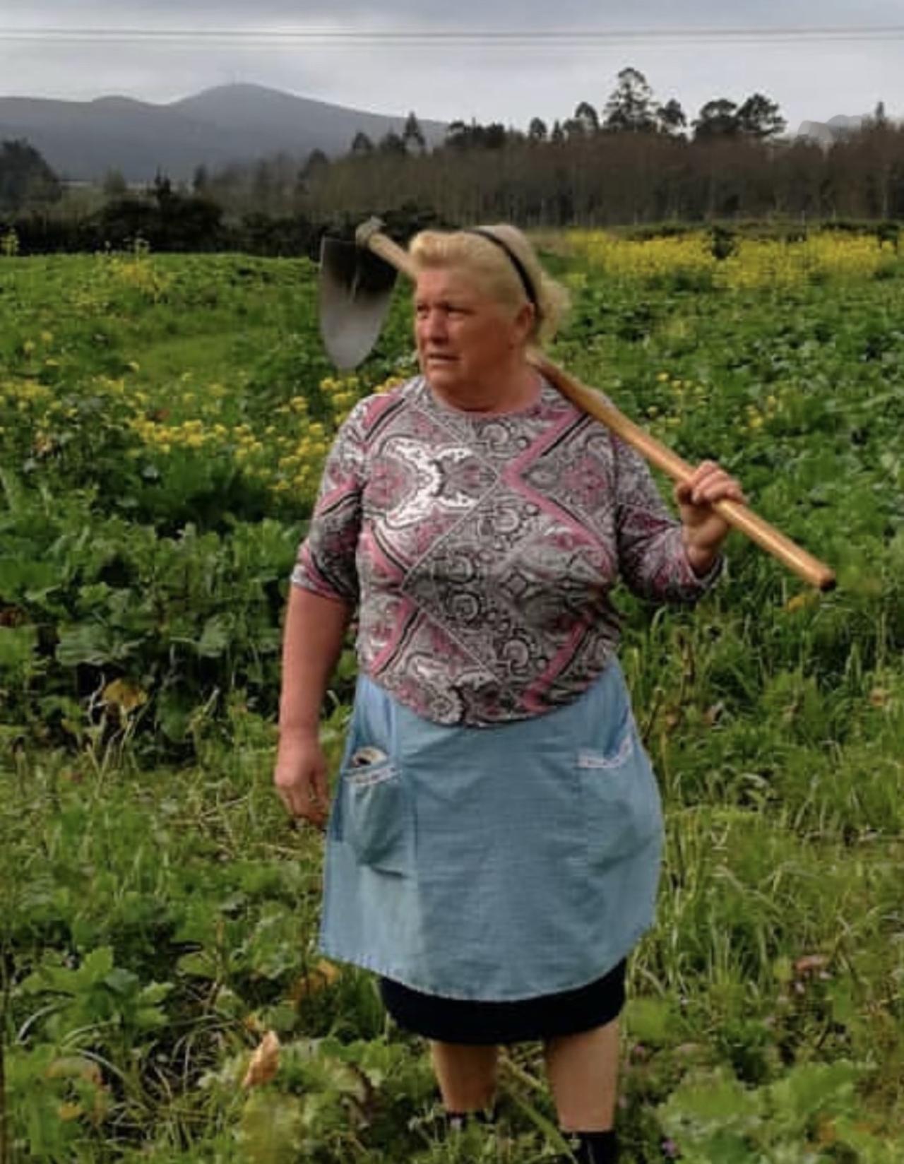 特普朗传来消息

4月15日，美国总统特朗普突然扔出一个大消息，他说未来两天美国