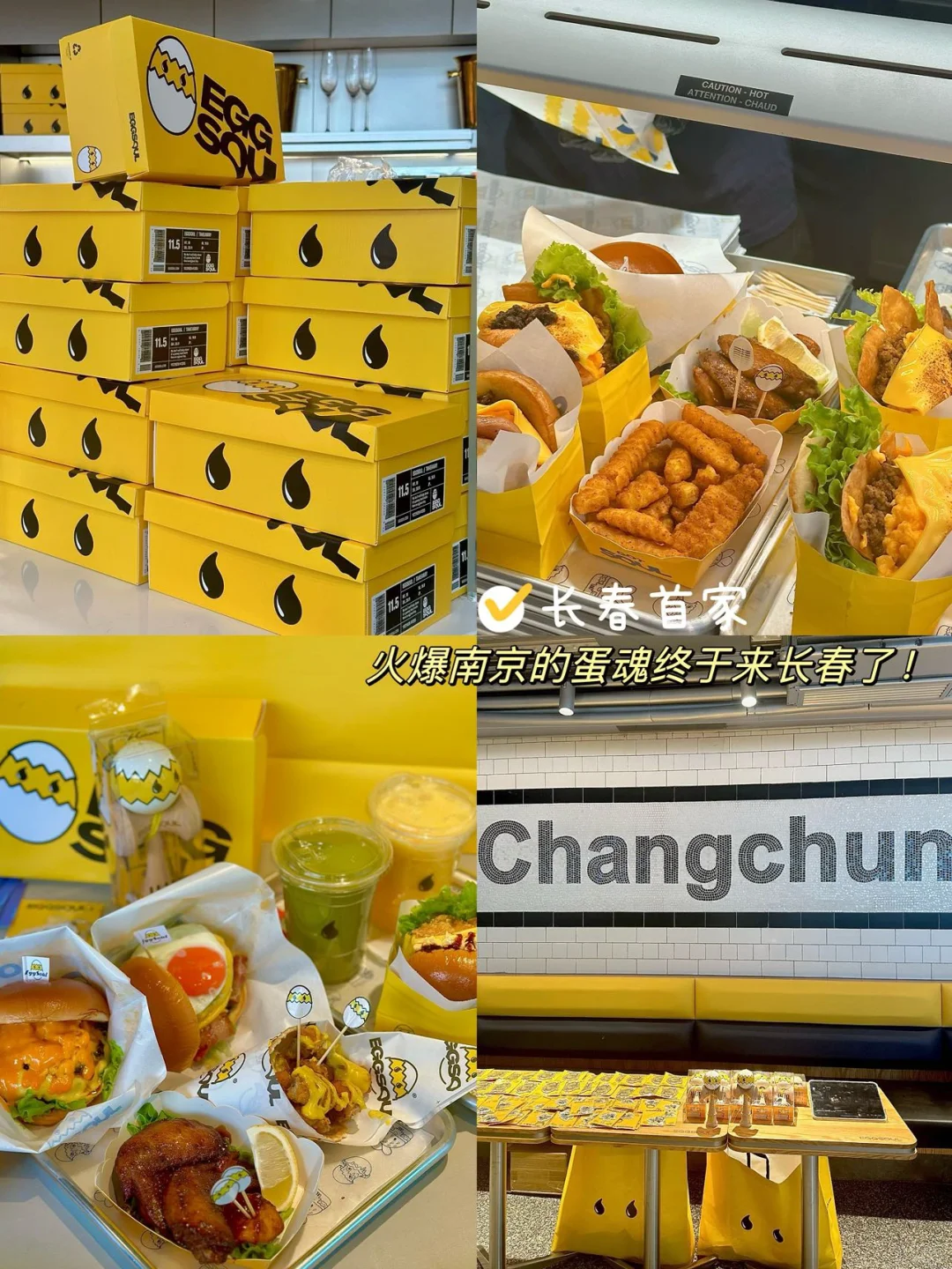 火爆🔥南京的蛋魂终于来长春了！！！