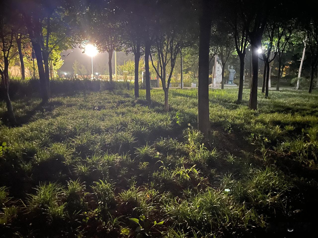 【七绝•秋色秋风唱晚歌】
秋色秋风唱晚歌，灯光璀璨若星河。
秋虫暗处随心叫，又给