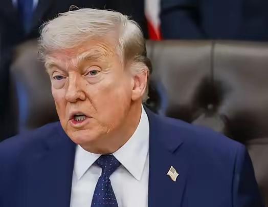 美国治安堪忧谁之过？
4月25日白宫记者晚宴会厅遭枪击后，美国特勤局为保证特朗普