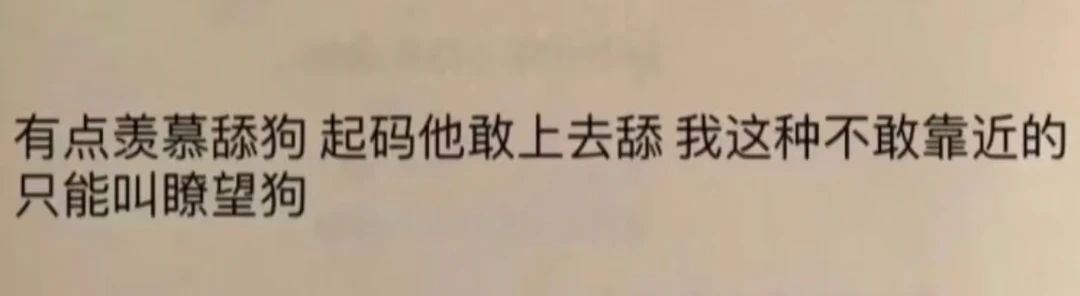 神金，笑死我了哈哈哈哈