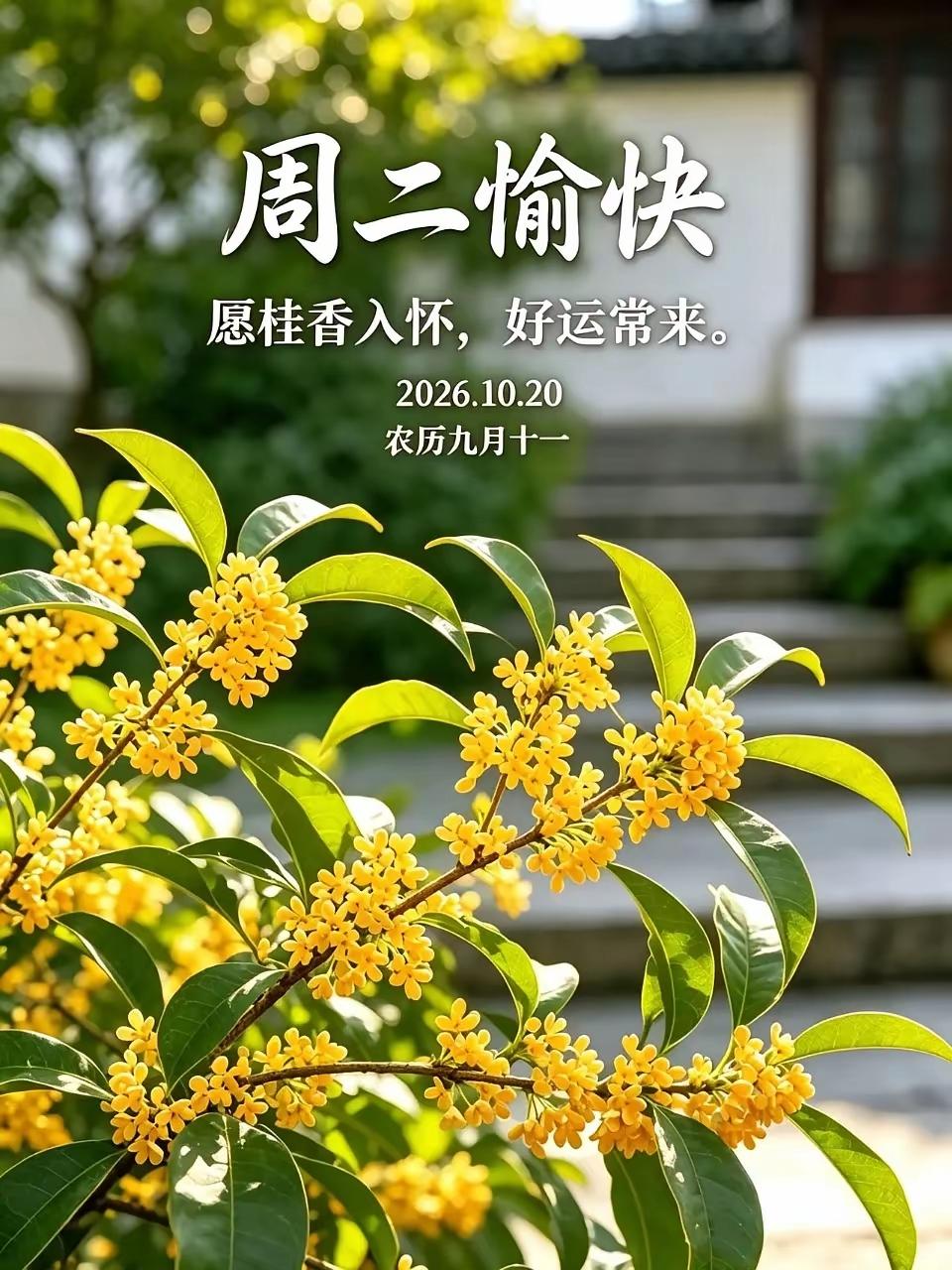 10.20日🌹🍎早上好♥️🌹
秋意浓天渐凉，愿我们：安然无恙，越来越好！