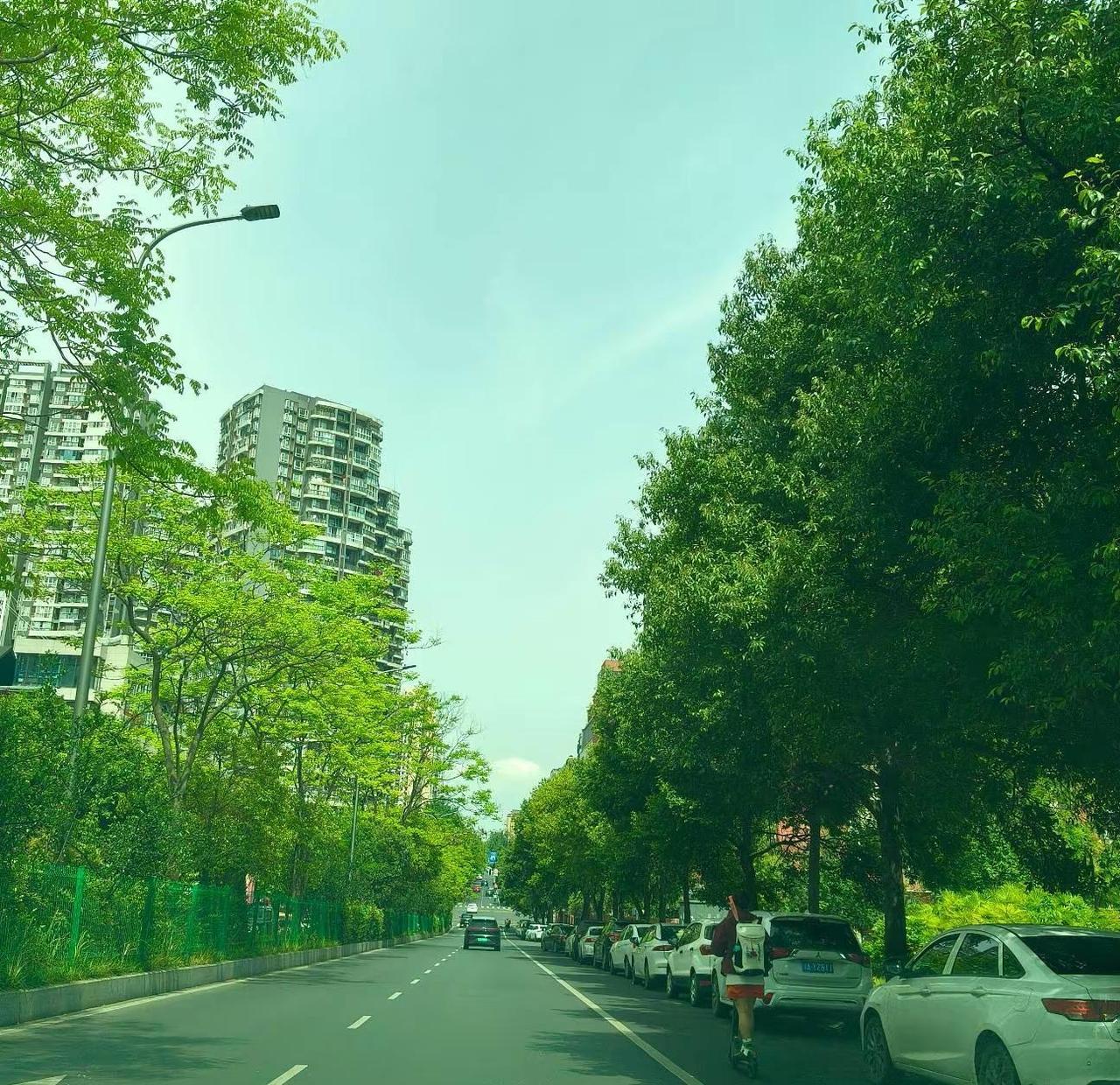 一条大路，向前走就对了我的事，必须我来初夏的街道