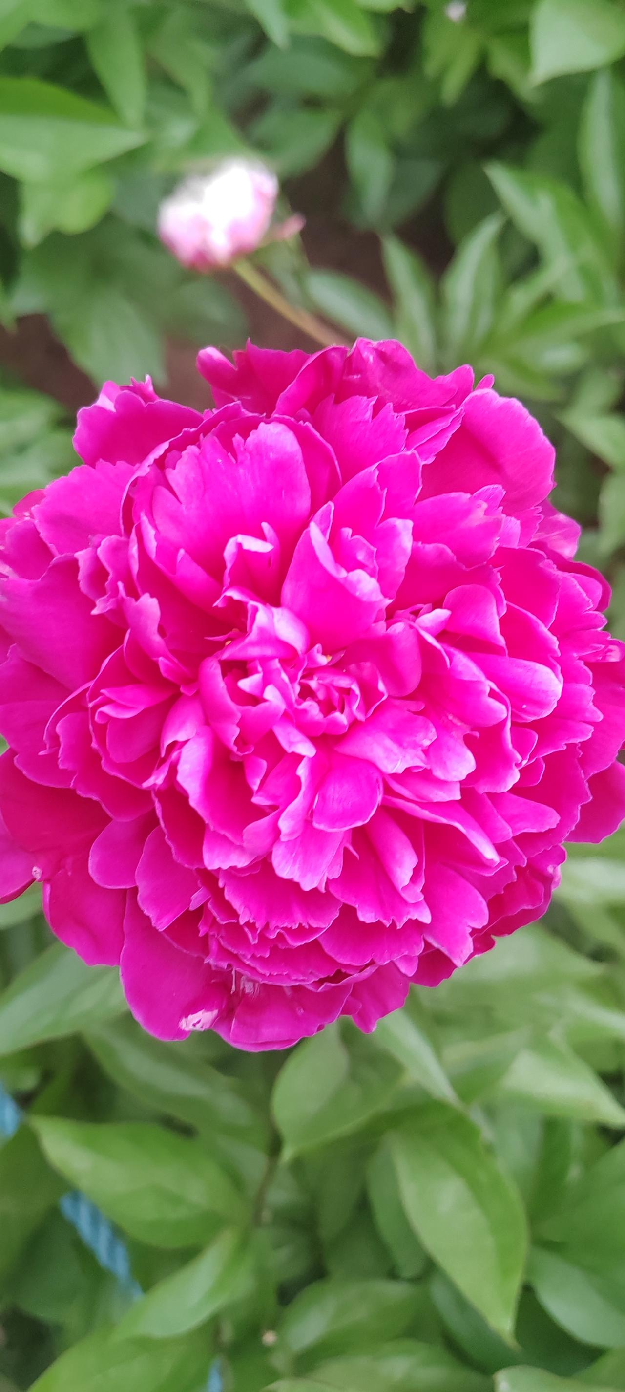 我们总认为择校很重要，其实在当下划片招生大政策下，孩子遇到一个好的班主任比什么都