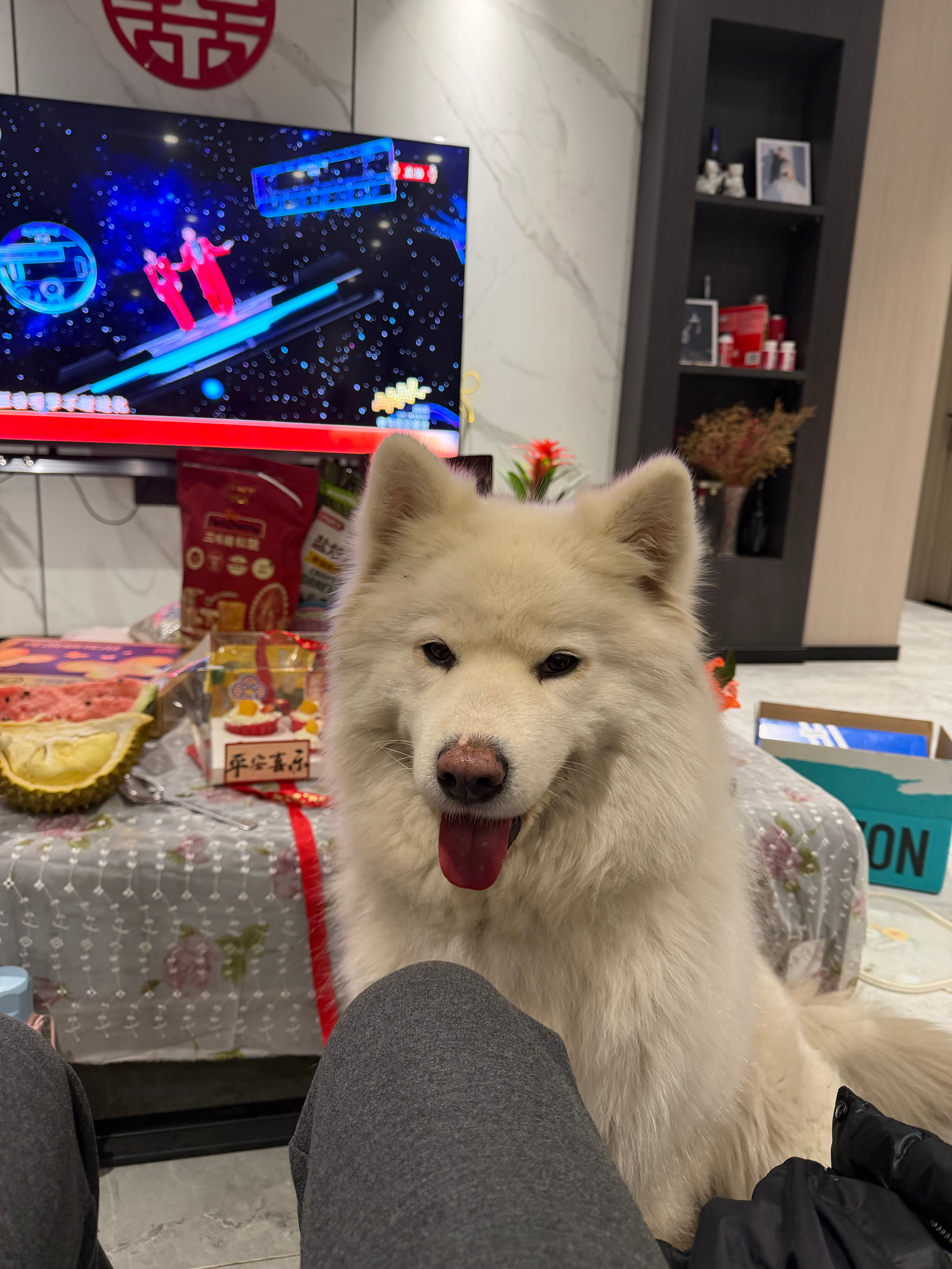 过年啦！🧨 