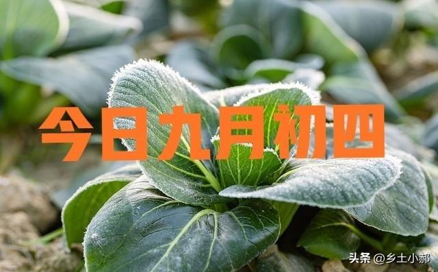 不是迷信！九月初四，晚上不能做的5件事，别忘了告诉家人！
 
大家好。老一辈流传