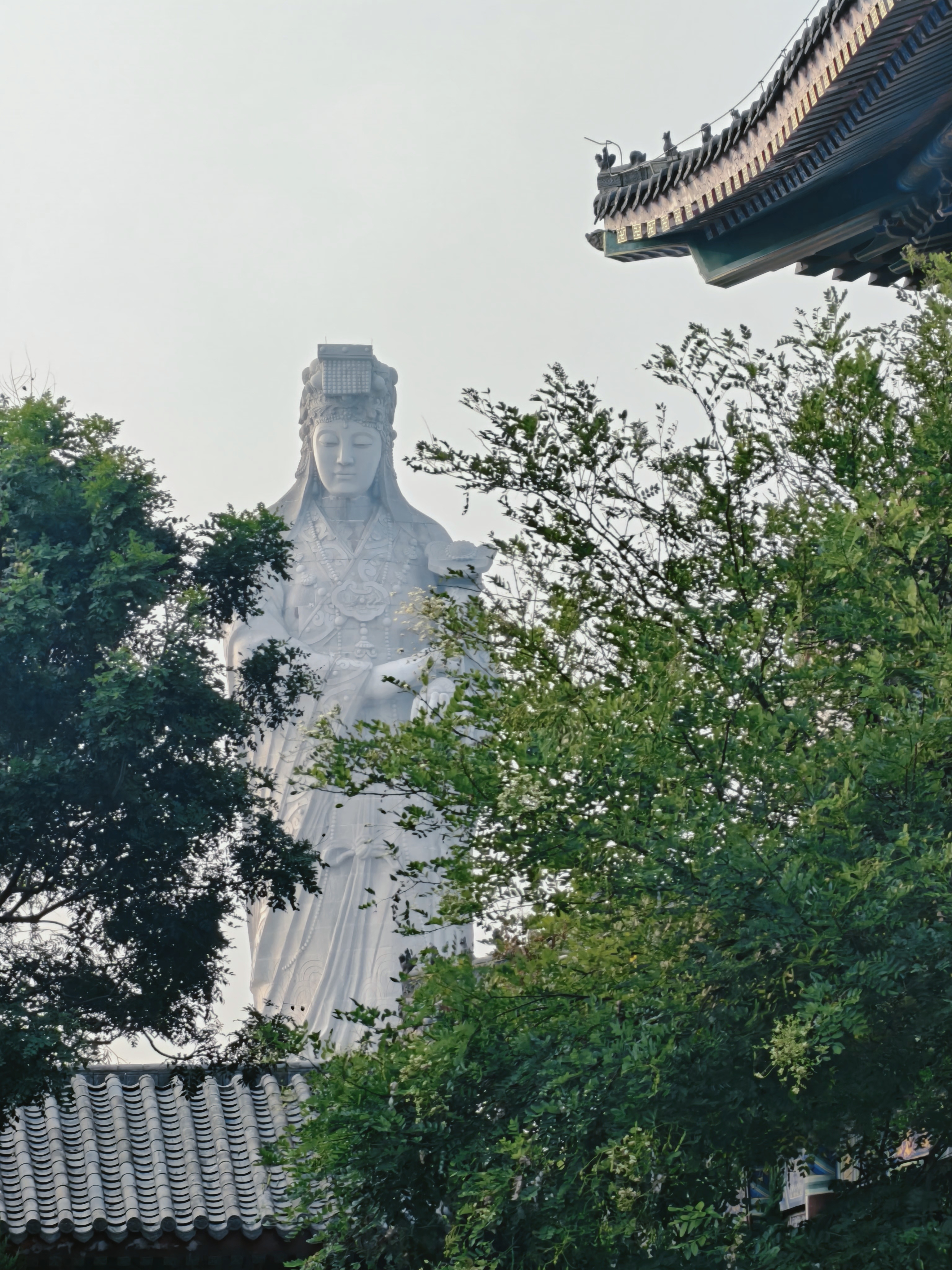 在滨海的海边走走逛逛的一天🚶🏻♂️，这应该是离北京最近的海了，高铁1小时+打