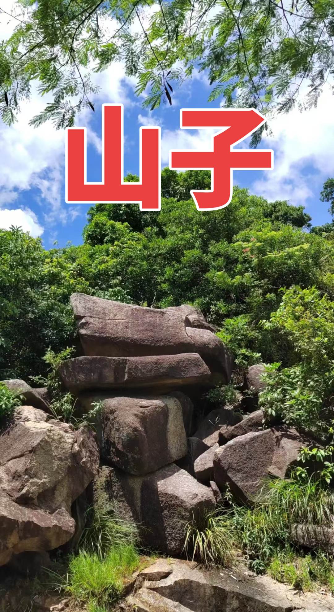 爬山 我的乡村生活 原创视频