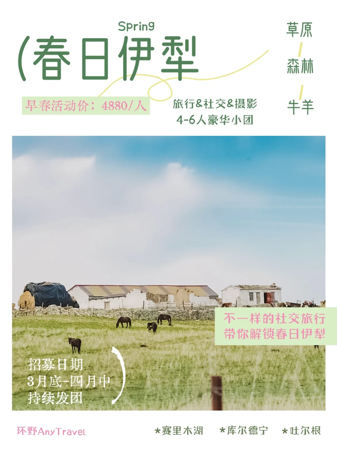 伊犁旅行招募｜我们像鸟一样飞向旷野🕊️