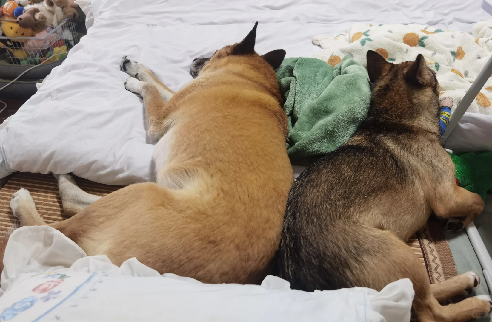 没头脑黏着不高兴