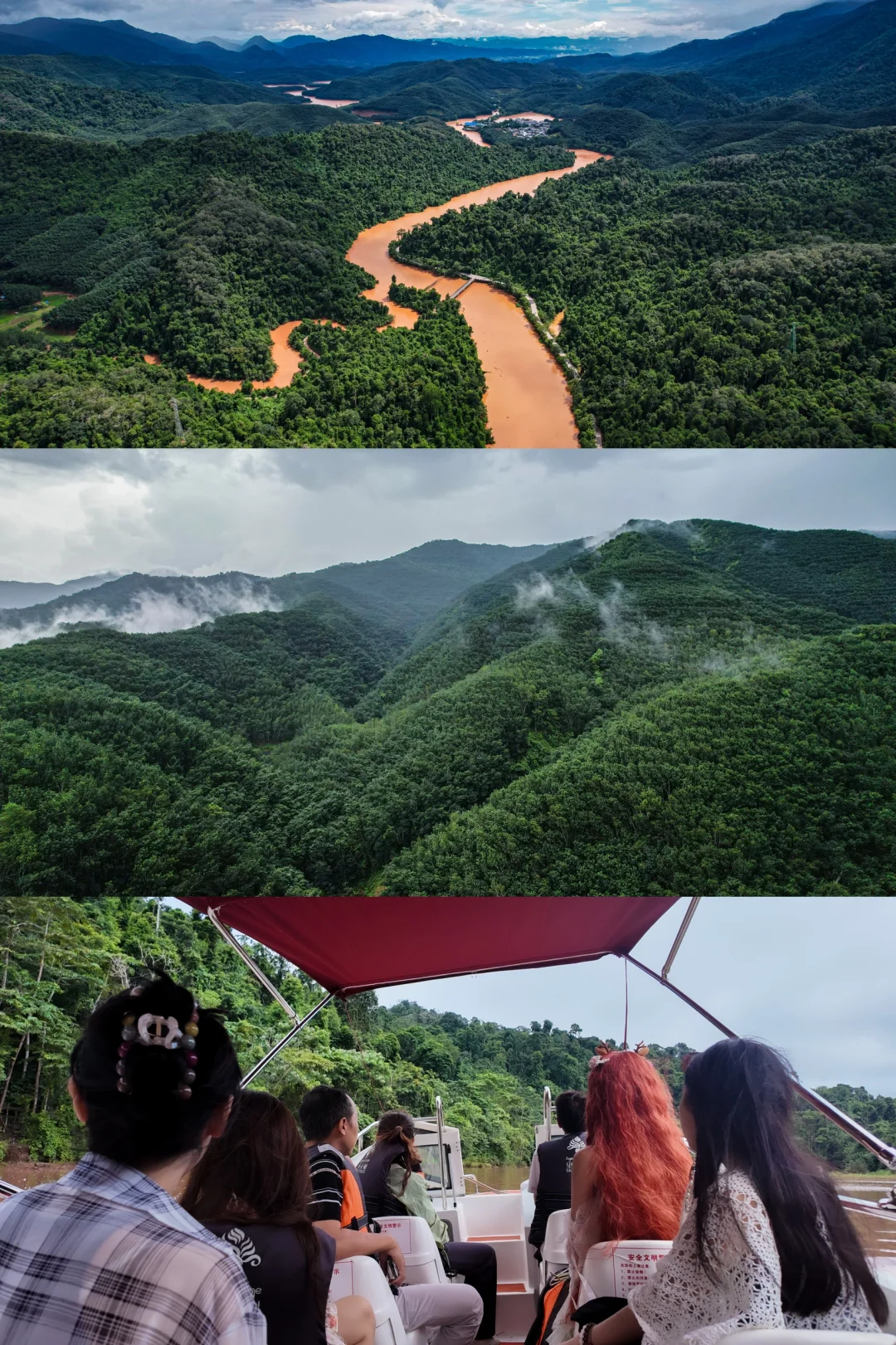 在西双版纳望天树景区，邂逅国庆狂欢魅力🍃