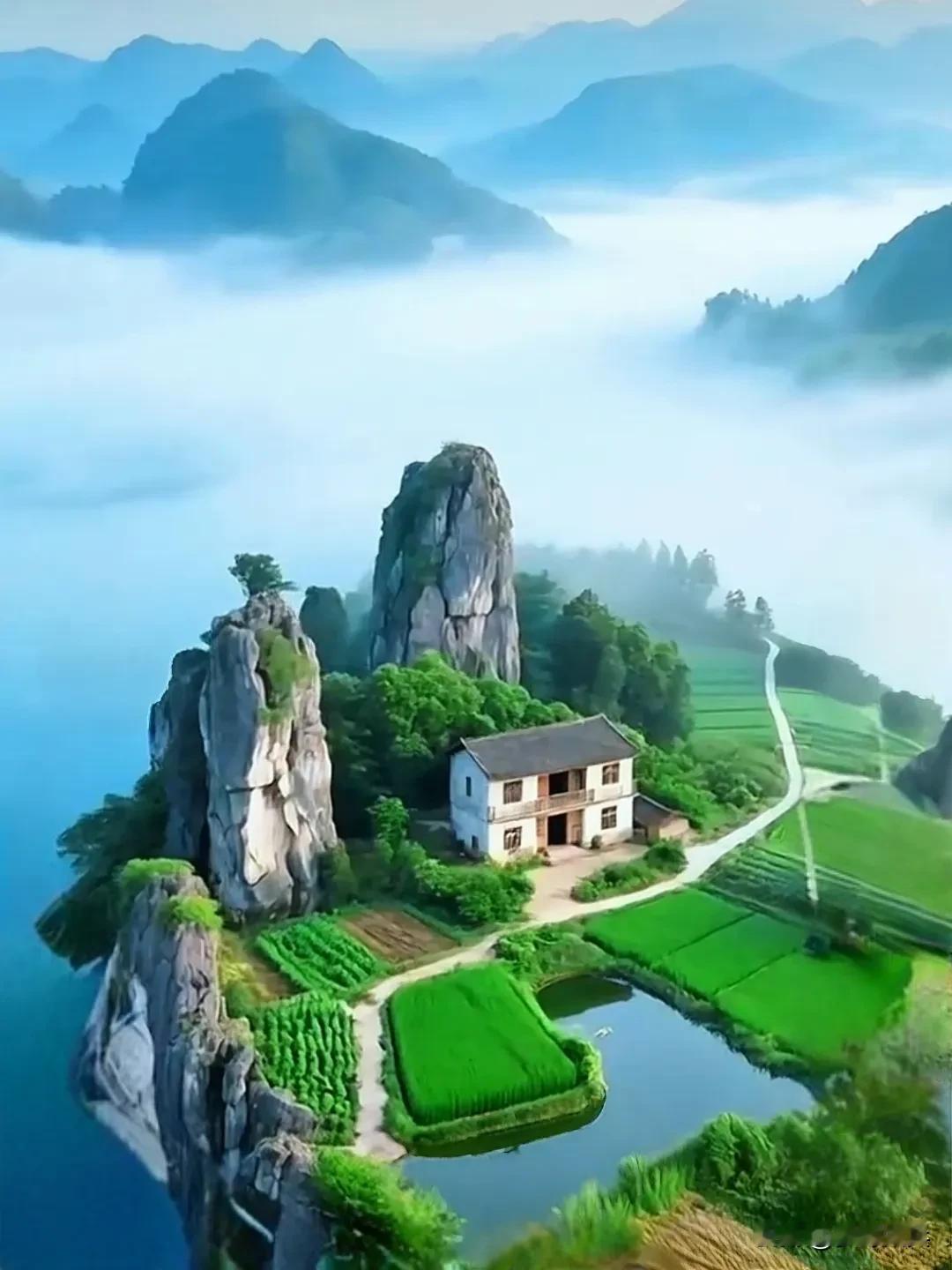 居住在大山深处的世外桃源人家，屋前是田园种菜种水稻，还有鱼塘养鱼，屋后是水果树随