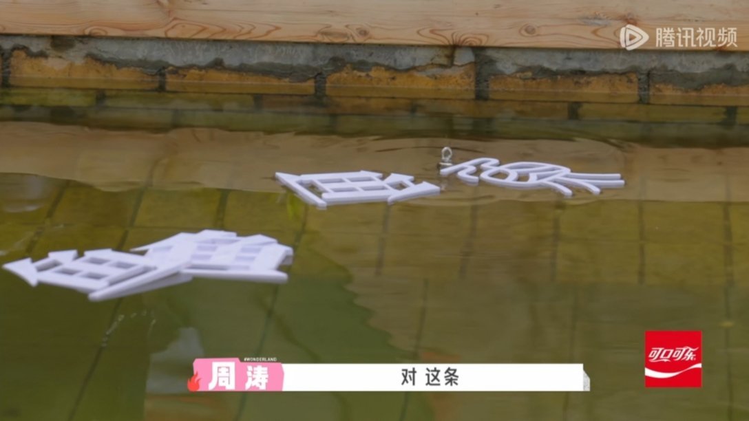 这鱼𓆜也太多了，兔总大气🌝 