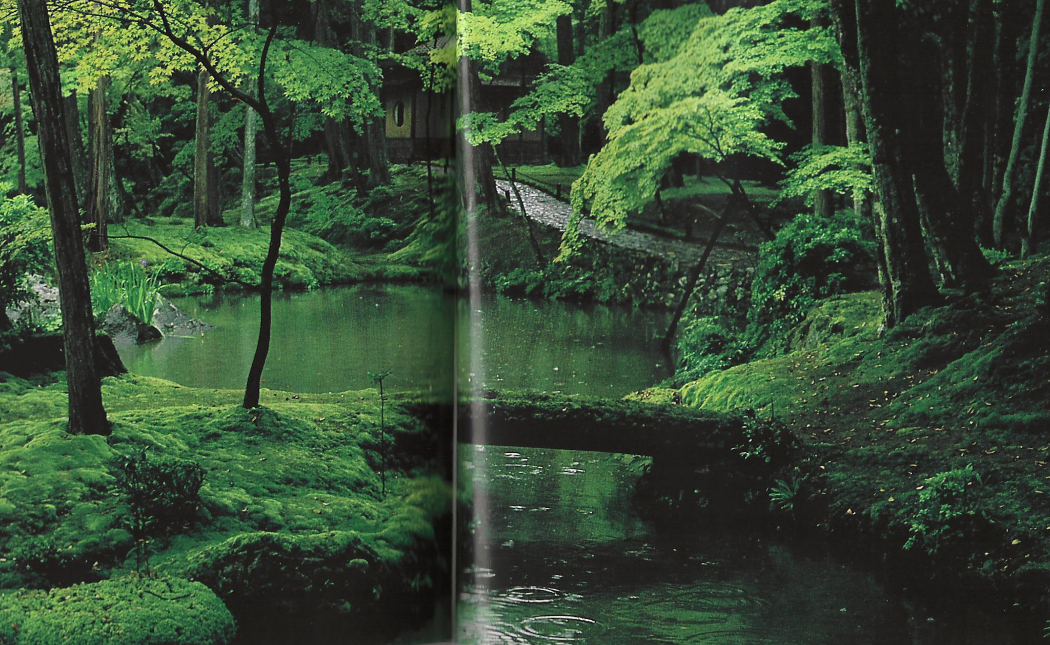 国家地理杂志1989年拍摄的京都西芳寺 