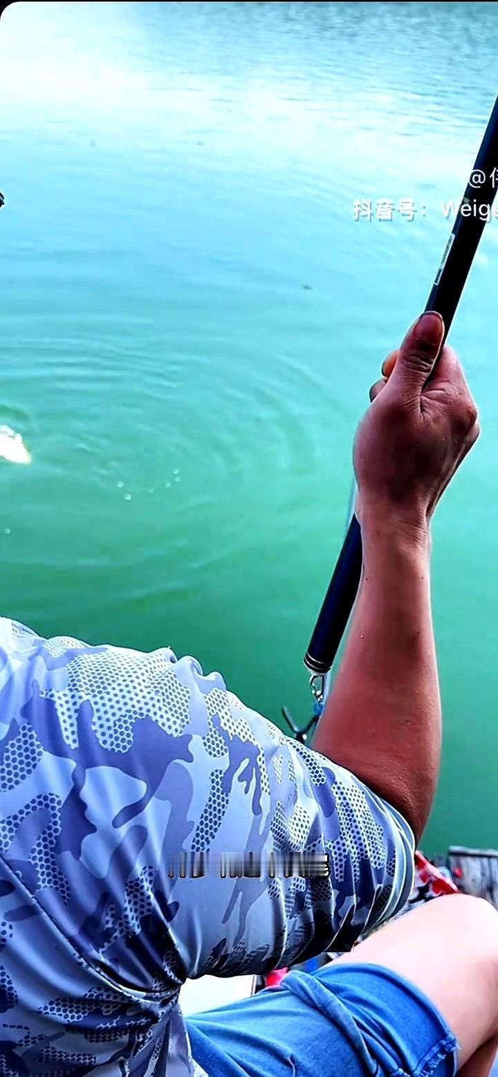 我看你们猜不猜得准！一斤的秤都直接打底了，这鱼到底叫啥？

嘉陵江这“早口”真邪