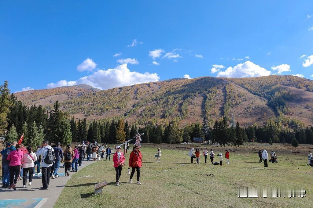 这个秋天我在新疆喀纳斯，遇见了一场色彩的盛宴，这里的景色美得如同绚丽的画卷#旅行