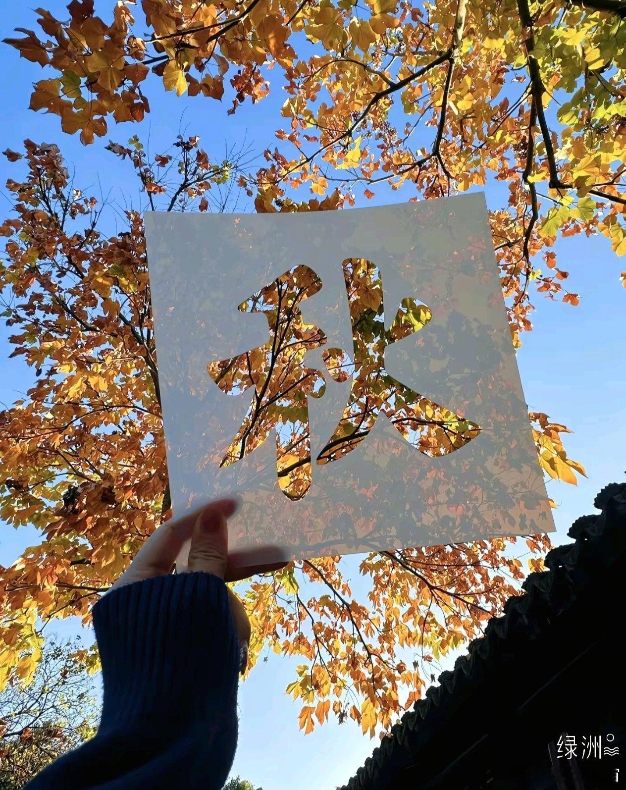 一年好景君须记，最是橙黄橘绿时  ​​​