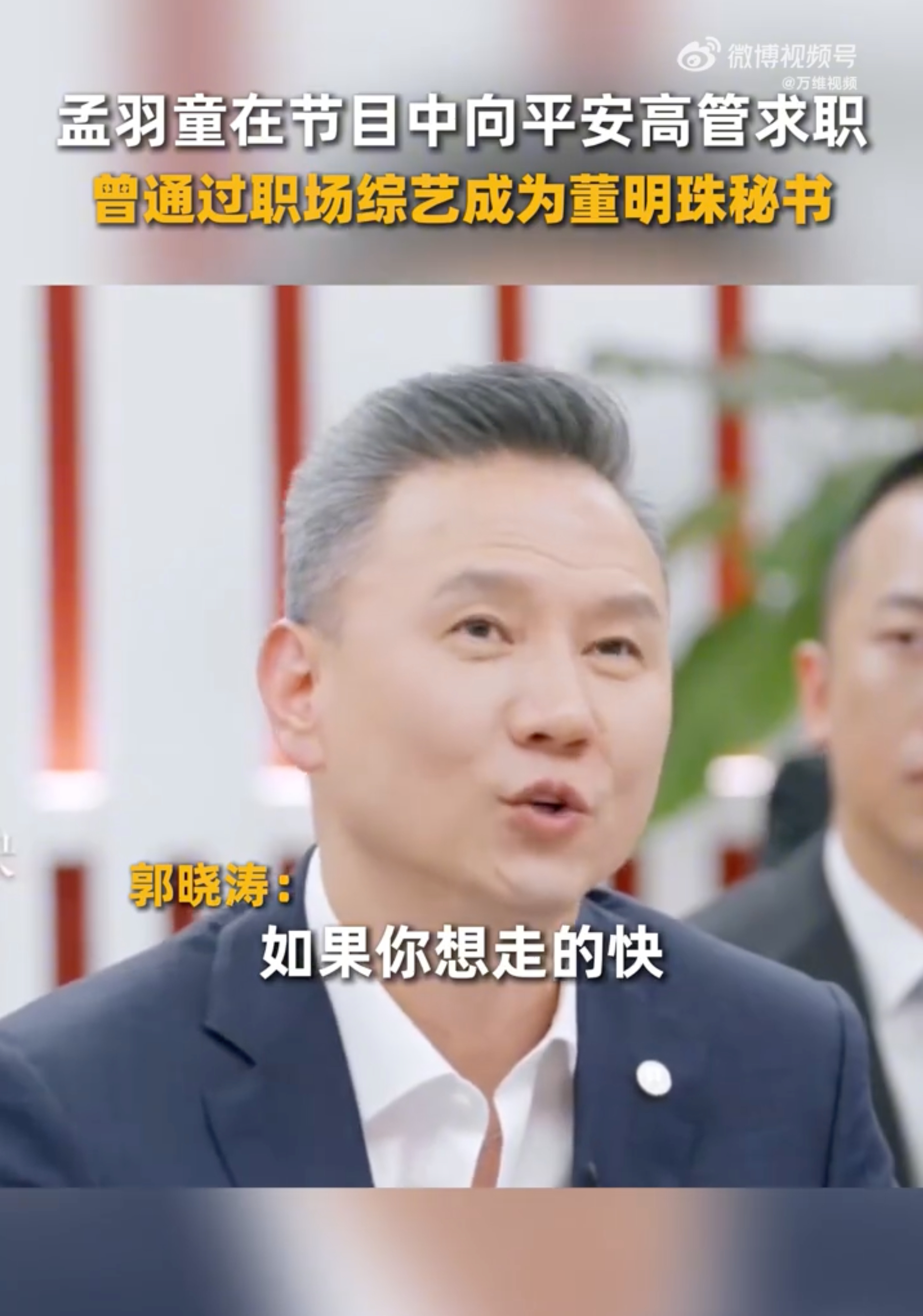 孟羽童向平安高管求职  “如果你想走得快，你就一个人走，如果你想走得远，你就跟大