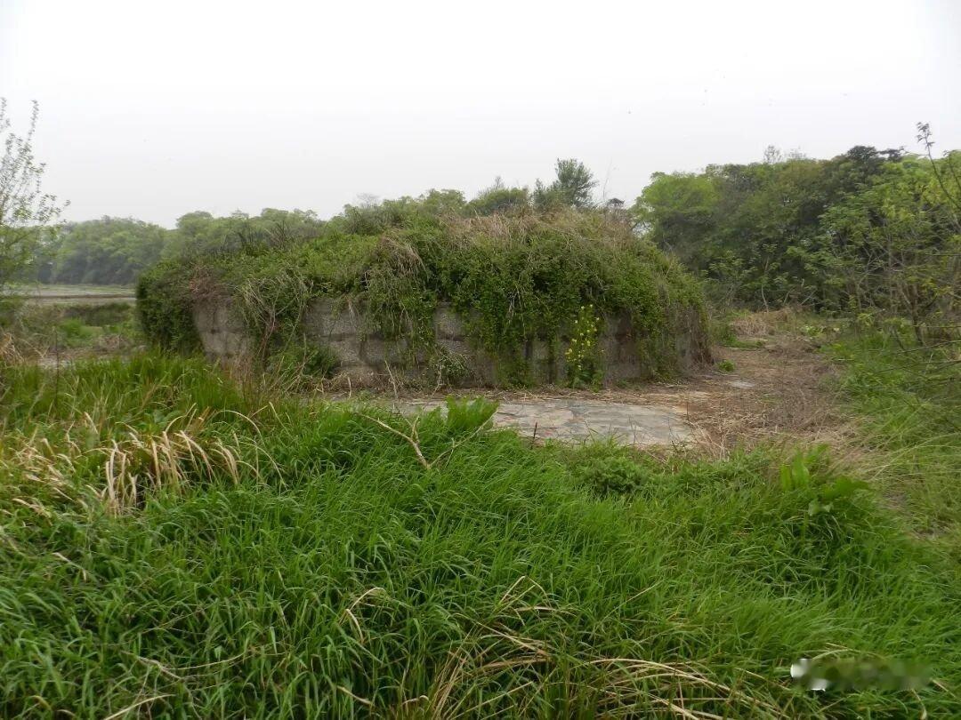 李白重活一世更不得志了¹ 可怜的李白，他能写诗歌也能写散文，但不太懂高层政治。结
